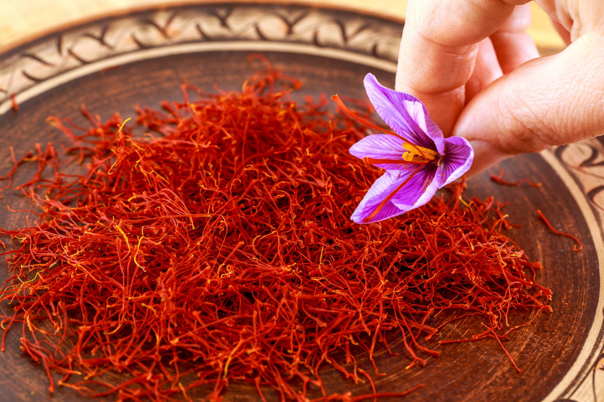 Discover the essence of Kashmir with Durfshan.in Buy authentic Kashmiri saffron from our trusted online store. Shop now for an unparalleled saffron experience at Durfshan.in. Discover the essence of Kashmir with Durfshan.in Buy authentic Kashmiri saffron from our trusted online store. Shop now for an unparalleled saffron experience at Durfshan.in.