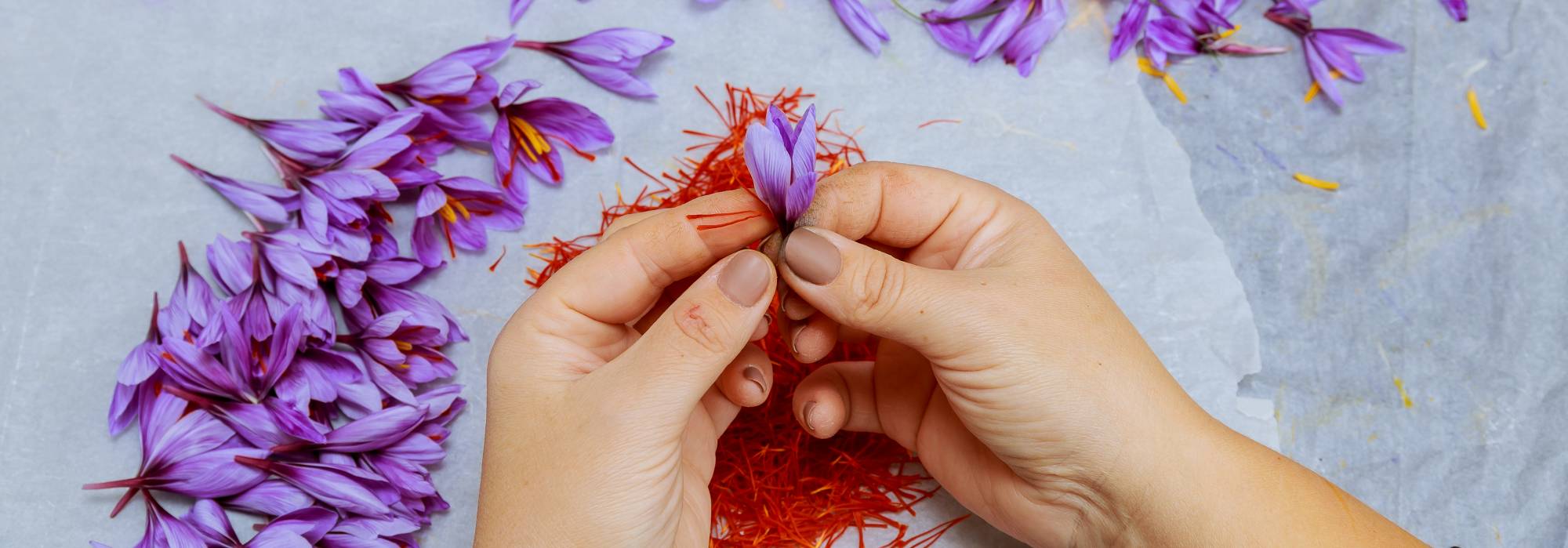 Durfshan.in – Kashmiri Saffron Online 2